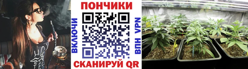 как найти   Харовск  Канабис Ganja 